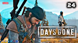 DAYS GONE ▶ ЖИЗНЬ ПОСЛЕ ● Прохождение #24