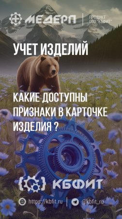 КБФИТ: МЕДЕРП. Учет изделий: Какие доступны признаки в карточке изделия?