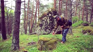 К.П. Попов про Фаснальский сосновый бор