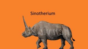 Prehistoric Animals Random 2 Size Comparison