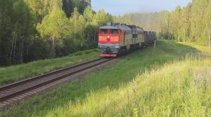 2ТЭ116-1384 (РЖД/Окт, ТЧ-18 Дно) с контейнерным поездом