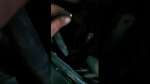 форд фокус 2 как быстро снять генератор