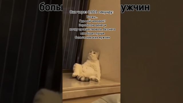 Когда она подошла пообниматься, а ты занят
#юмор #прикол #funny