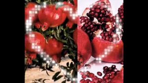 Рефик Коркмаз. Приглашение на обучение 1 и 2 модулю методики "Язык и чудеса подсознания"