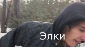 шиэлши как видосы оптимус генг