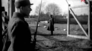 Маршалы Сталина.Семен Тимошенко.