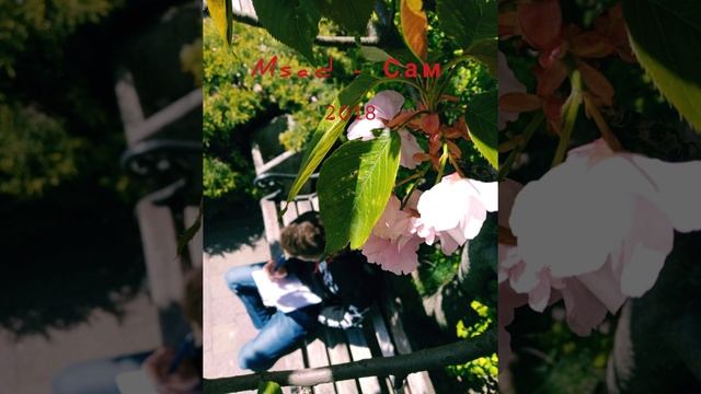 M1sad - Сам 2018 | Рэп лирика #raplyrics #lyrics
