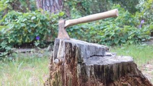 4168975-hd_1920_1080_25fps