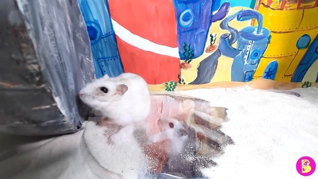 КВЕСТ в БИККИНИ БОТОМ** КАК СПАСТИ ВИЛЮ? смотреть онлайн