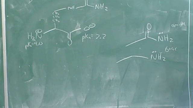 Introduction to amino acids and peptides (6)