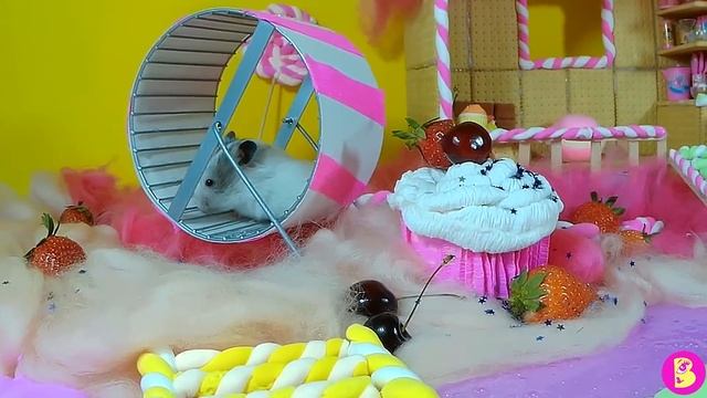 ХОМЯЧКИ В ПРЯНИЧНОМ ДОМИКЕ или СТРАНЕ КАРАМЕЛИ И ПЕЧЕНЬЯ The hamsters in the gingerbread house смотреть онлайн