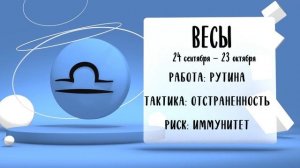 "Звёзды знают". Гороскоп на 13 ноября 2024 года (Бийское телевидение)