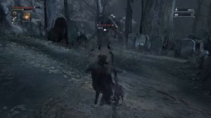 Bloodborne™ woah - woods wth 37 insight