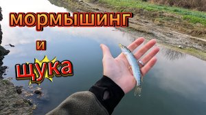 Мормышинг и щука