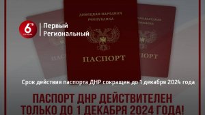 Срок действия паспорта ДНР сокращен до 1 декабря 2024 года