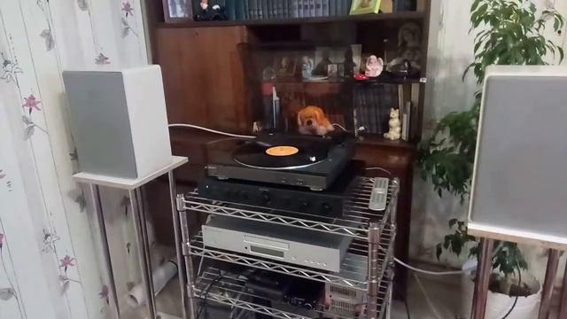 Sony Ps D707