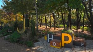 Autumn in Seoul： A Colorful Tour of Fall Foliage at Seoul Forest ｜ Travel Korea