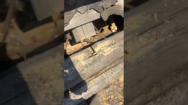 стропильная система