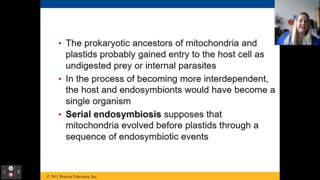 CP Biology: Chapter 25.3 смотреть онлайн