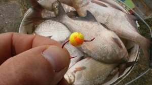 Рыбалка на пенопласт - почему она входит в моду? Какая рыба на него клюёт