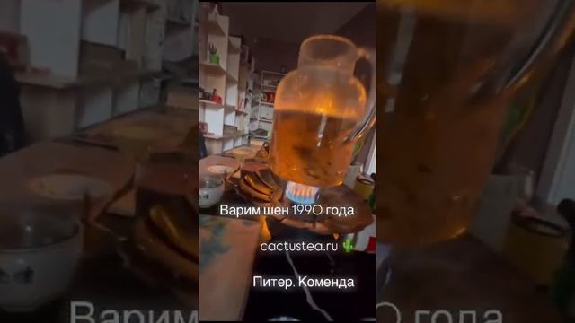 Чайный клуб Cactusstone