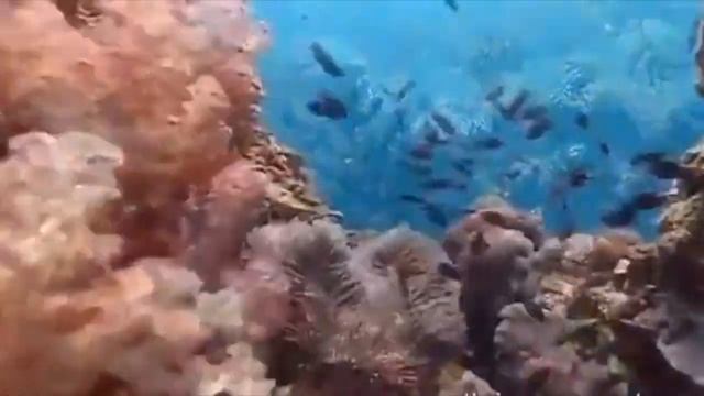 Астральное тело и астральный двойник