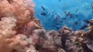 Астральное тело и астральный двойник