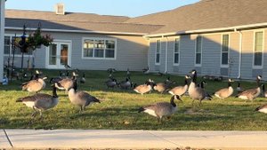 14298850-hd_1920_1080_60fps