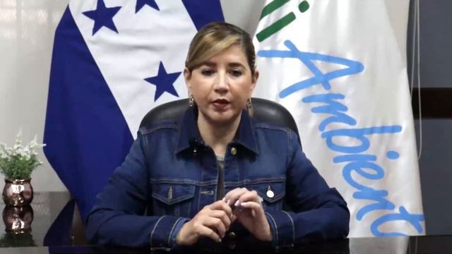 Gobierno de Honduras señala que la contaminación en el Río Motagua no se ha resuelto смотреть онлайн