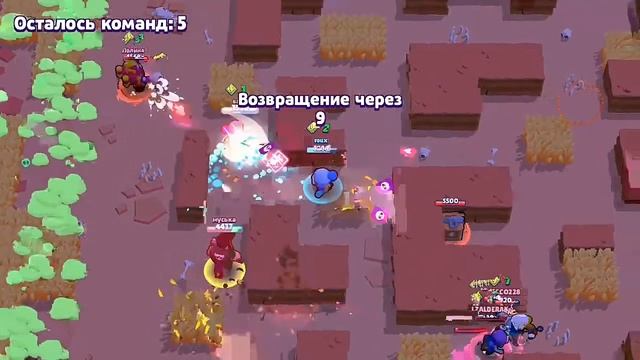 Возвращение блудного попугая | Brawl stars смотреть онлайн