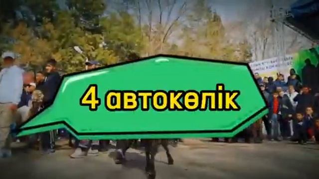 КӨРМЕ АСЫЛ ТҰҚЫМДЫ ҚОЙ 18.03.2023 ВЫСТОВКА ОВЕЦ
