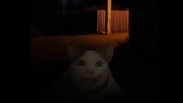 БУ, ИСПУГАЛСЯ?  но это реальная жизнь