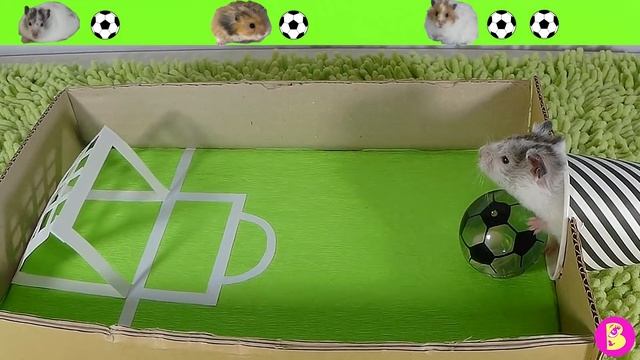 ХОМЯЧКИ ИГРАЮТ В ФУТБОЛ, КТО ПОБЕДИТ?/Three hamsters playing football смотреть онлайн