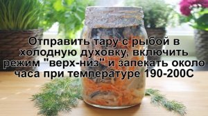 КАК ПРИГОТОВИТЬ СКУМБРИЮ В БАНКЕ? Сочная и ароматная скумбрия запеченная в банке в духовке с луком