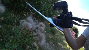 Laowa 50mm f/2.8 2X Ultra Macro Lens Review (for MFT)