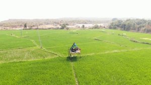 3680847-hd_1920_1080_30fps