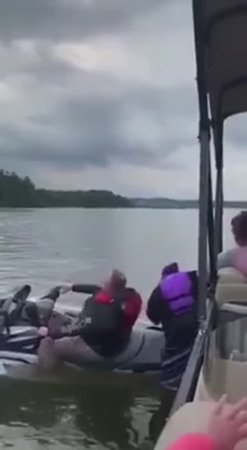 Хорошо что они не охотники)