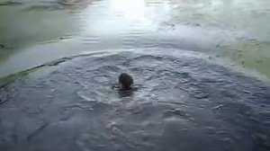 Идиот отец и его сын ботаник.