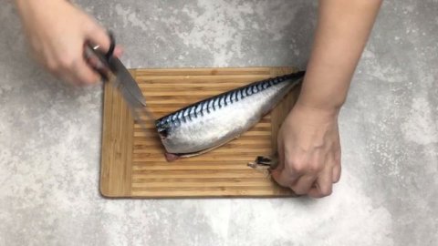 Скумбрия в рассоле кусочками Как посолить скумбрию в домашних условиях Засолка скумрии в рассоле