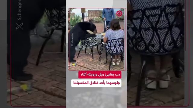 دب أسود ينضم بشكل مفاجئ لطاولة رجل وزوجته داخل أحد المطاعم الفندقية بالمكسيك