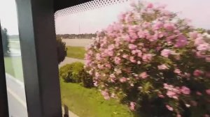 НА АВТОБУСЕ ОТ СОЧИ ПАРКА ( ОТЕЛЬ БОГАТЫРЬ) ДО ТЦ " НОВЫЙ ВЕК".