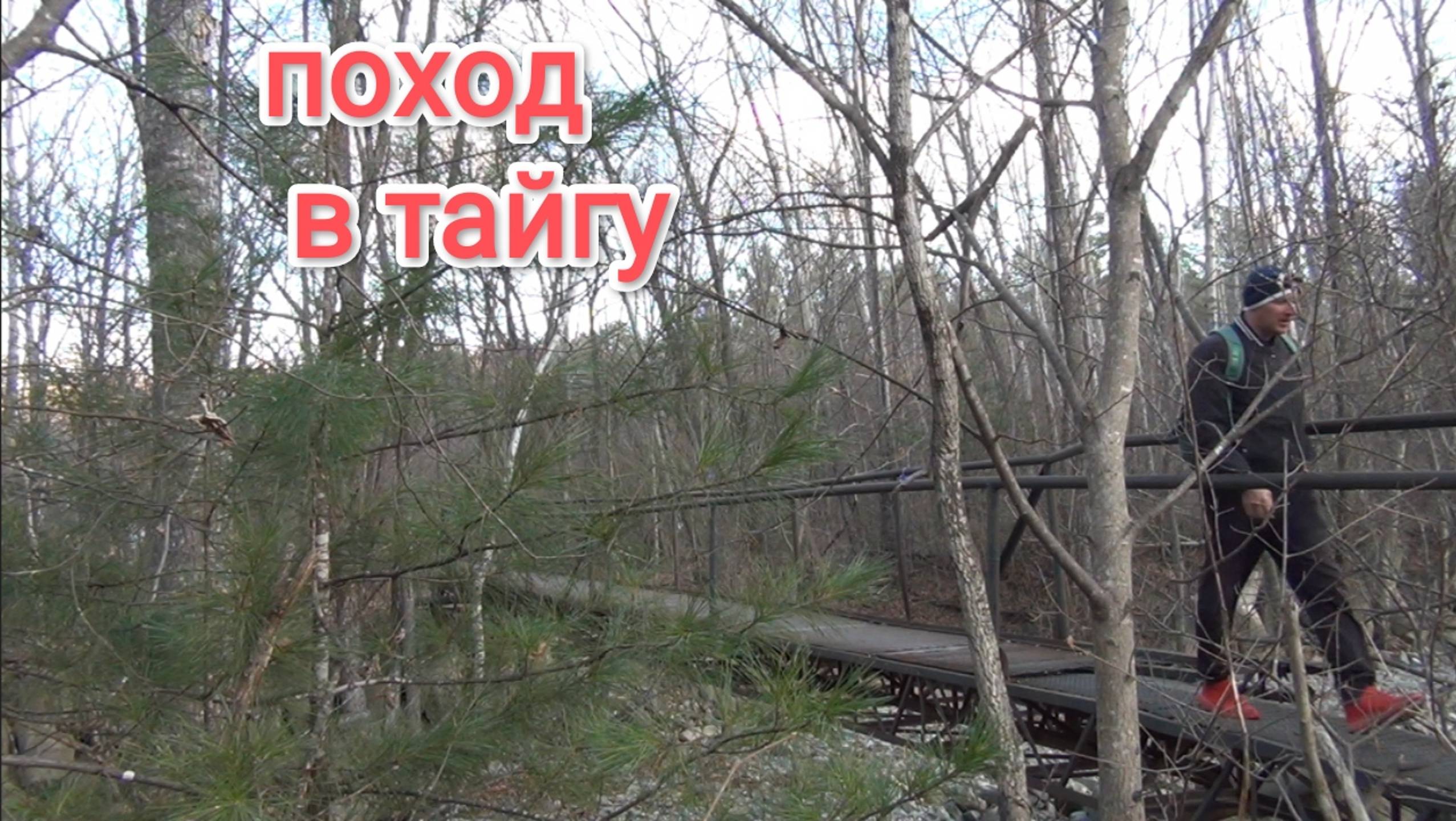 Поход в тайгу. Поход в лес. Прогулка по лесу. Приморская тайга. Горная речка.