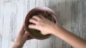 Маринад из киви для шашлыка  Как приготовить МАРИНАД из КИВИ для ШАШЛЫКА из любого вида мяса