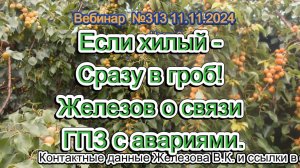 Железов Валерий. Вебинар 313. ч.2. Если хилый - Сразу в гроб! Железов о связи ГПЗ с авариями.