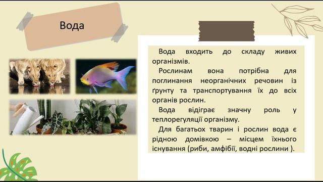 Взаємодія організмів із середовищем існування смотреть онлайн