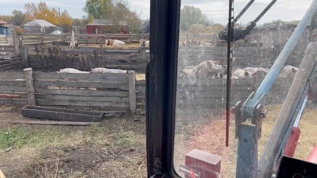 12-11-2024 смотреть онлайн