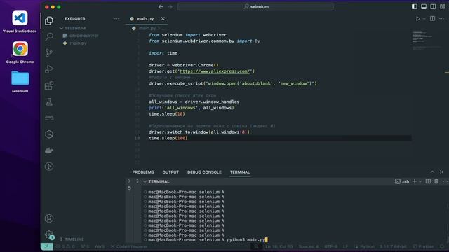 Парсинг данных. Работа с окнами | Урок 3 | Selenium + Python автоматизация | python программировани