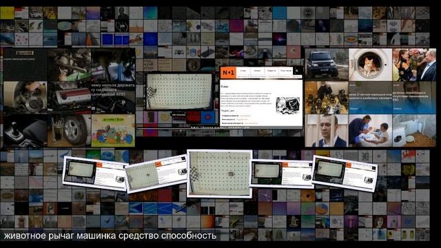 Крыс научили водить машинку смотреть онлайн