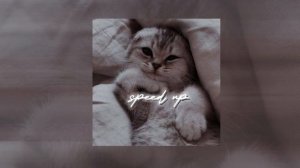 Егор крид- ТАРО(speed up)