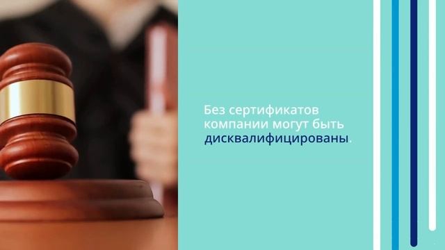 Как сертификация помогает соответствовать требованиям госзакупок — сертификат-декларация.рф
